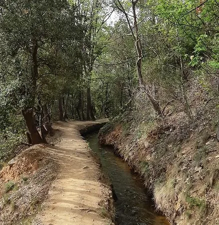 De Nogarols Prades