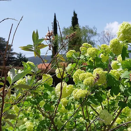 De Nogarols Сasa de vacaciones Prades