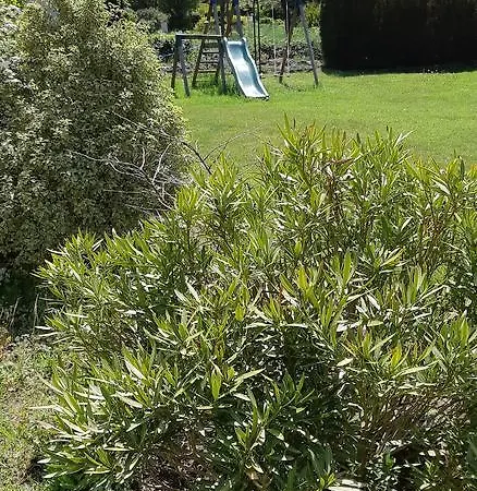 De Nogarols Сasa de vacaciones *